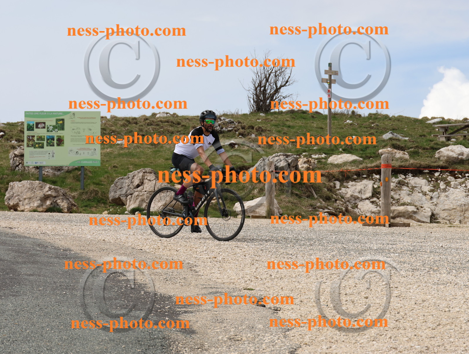 Col du Grand Colombier (390).JPG