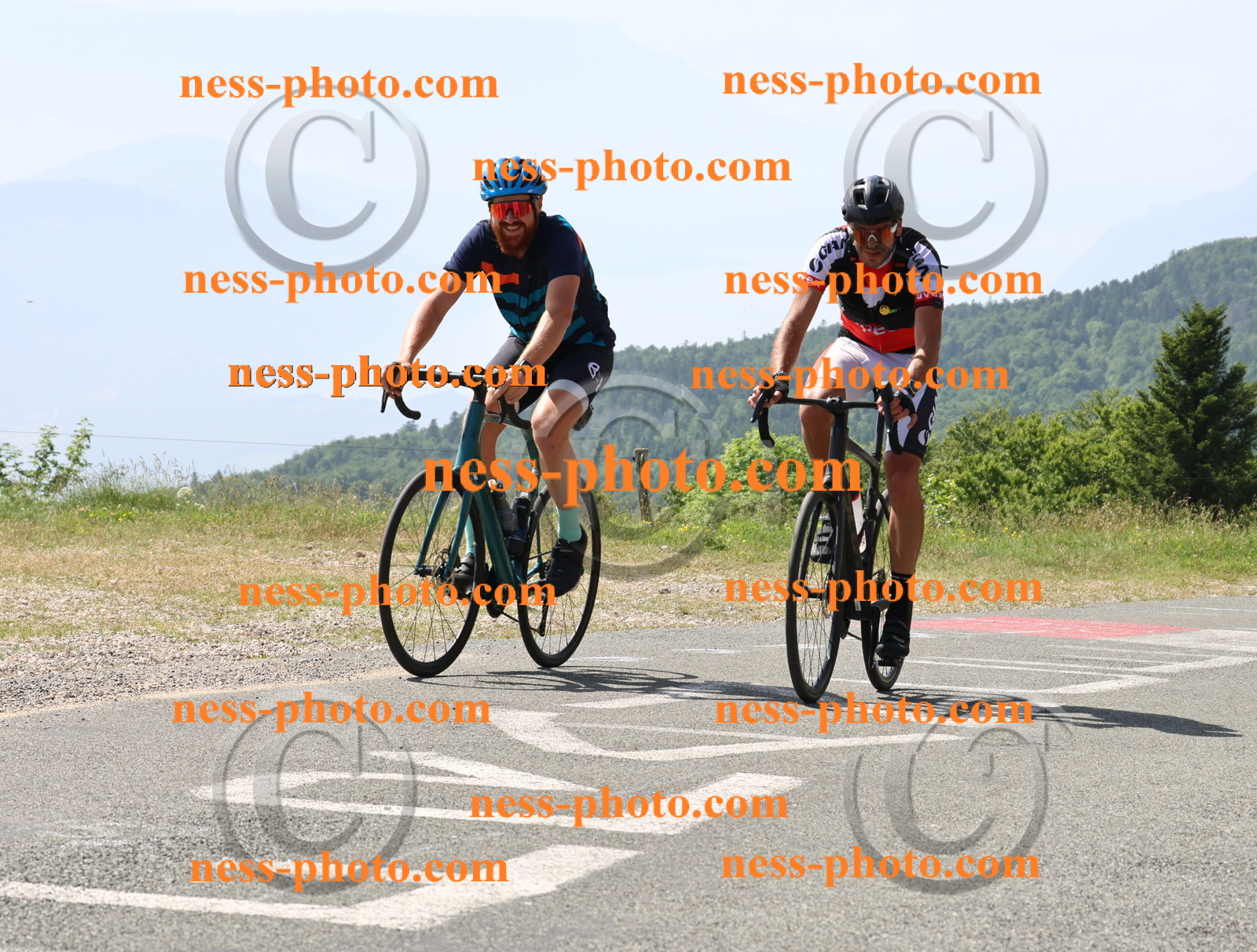 Col du grand Colombier (1209).JPG