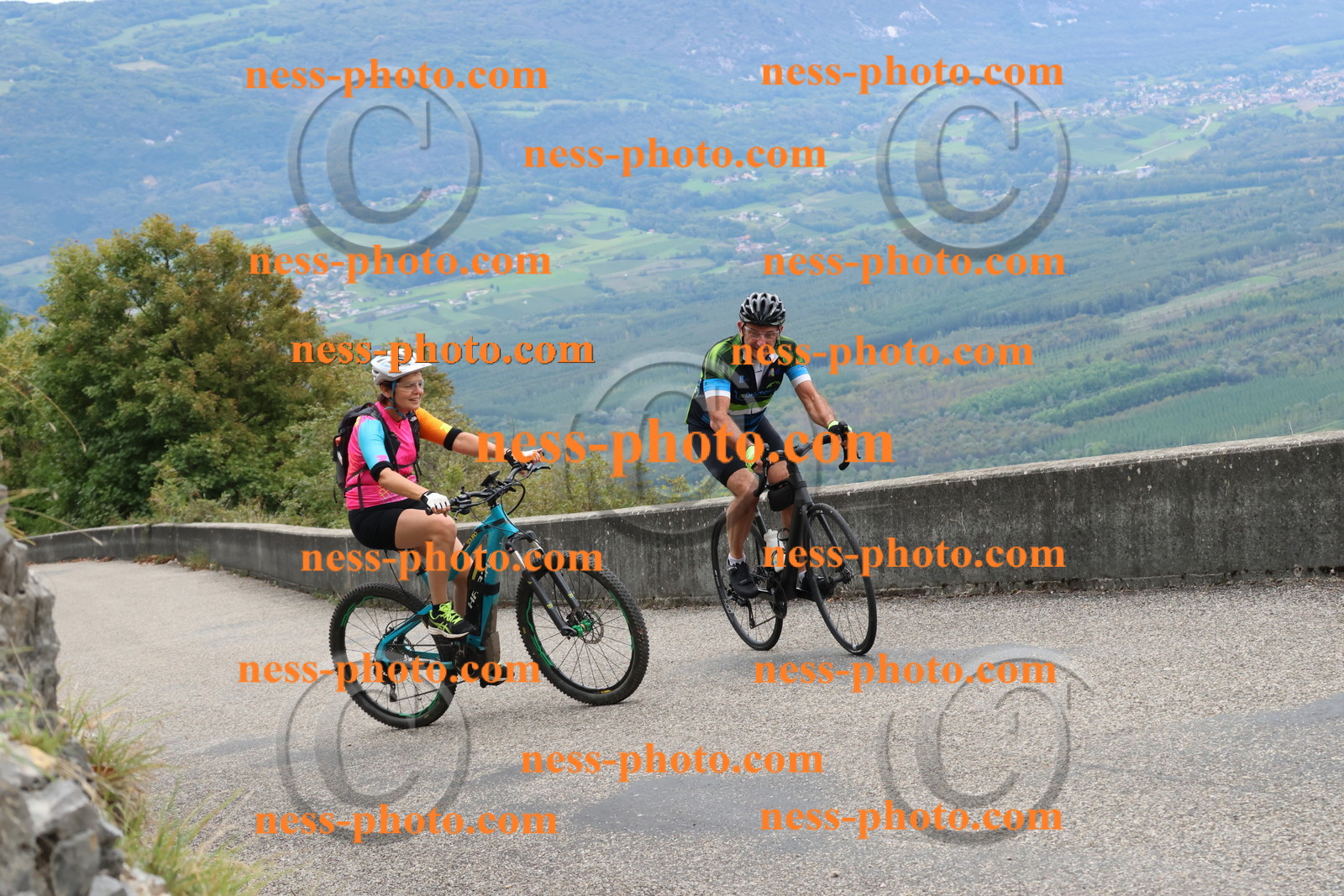 Col du Grand Colombier (2563).JPG