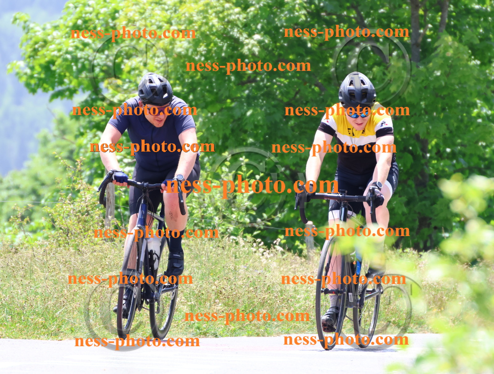 Col du grand Colombier (2948).JPG