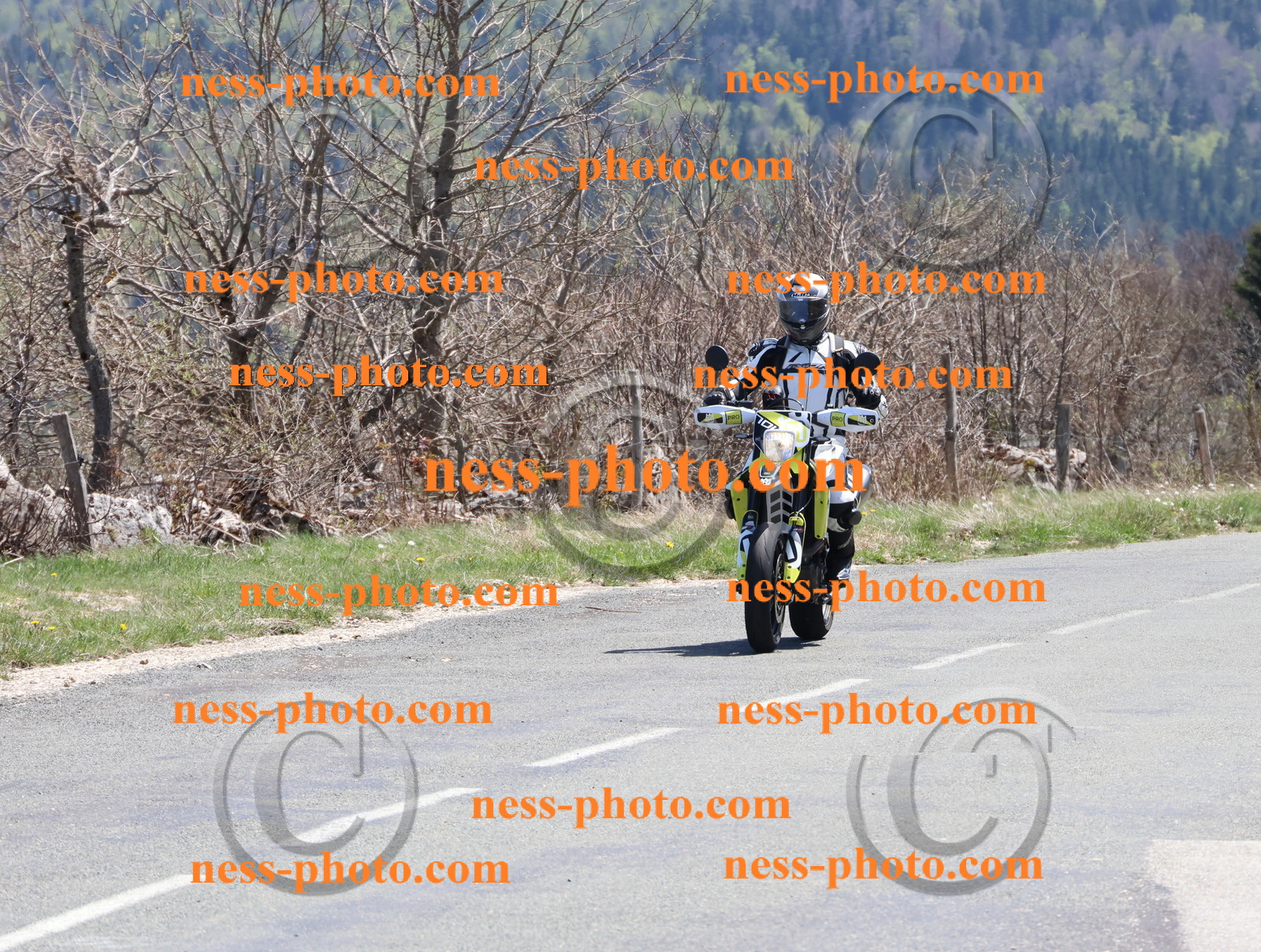 Col du Grand Colombier (184).JPG