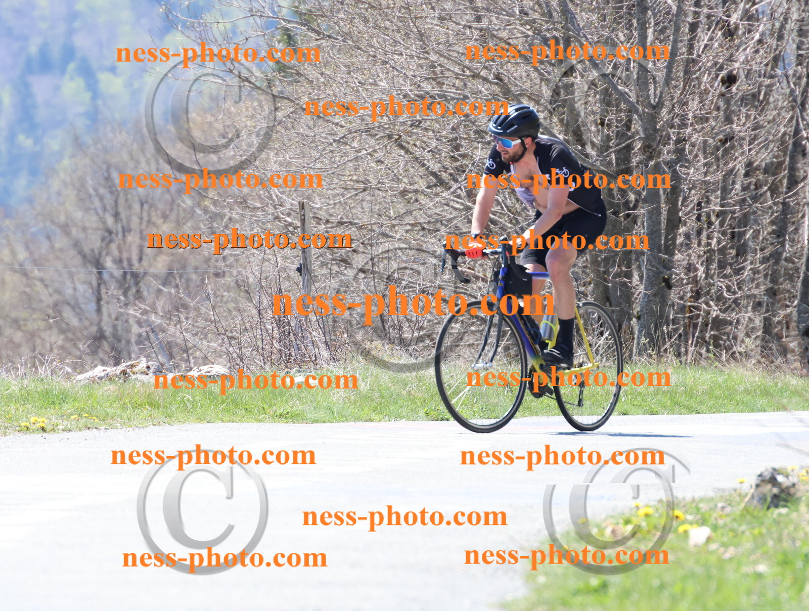 Col du Grand Colombier (306).JPG