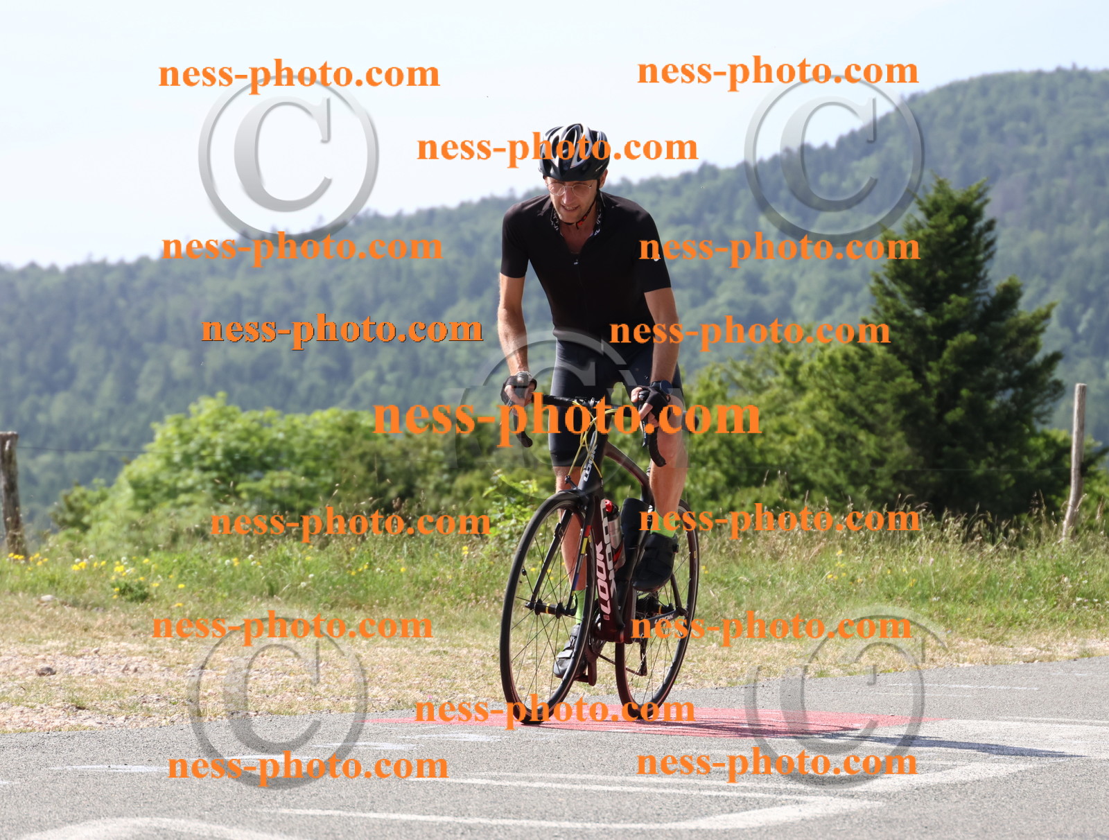 Col du grand Colombier (848).JPG