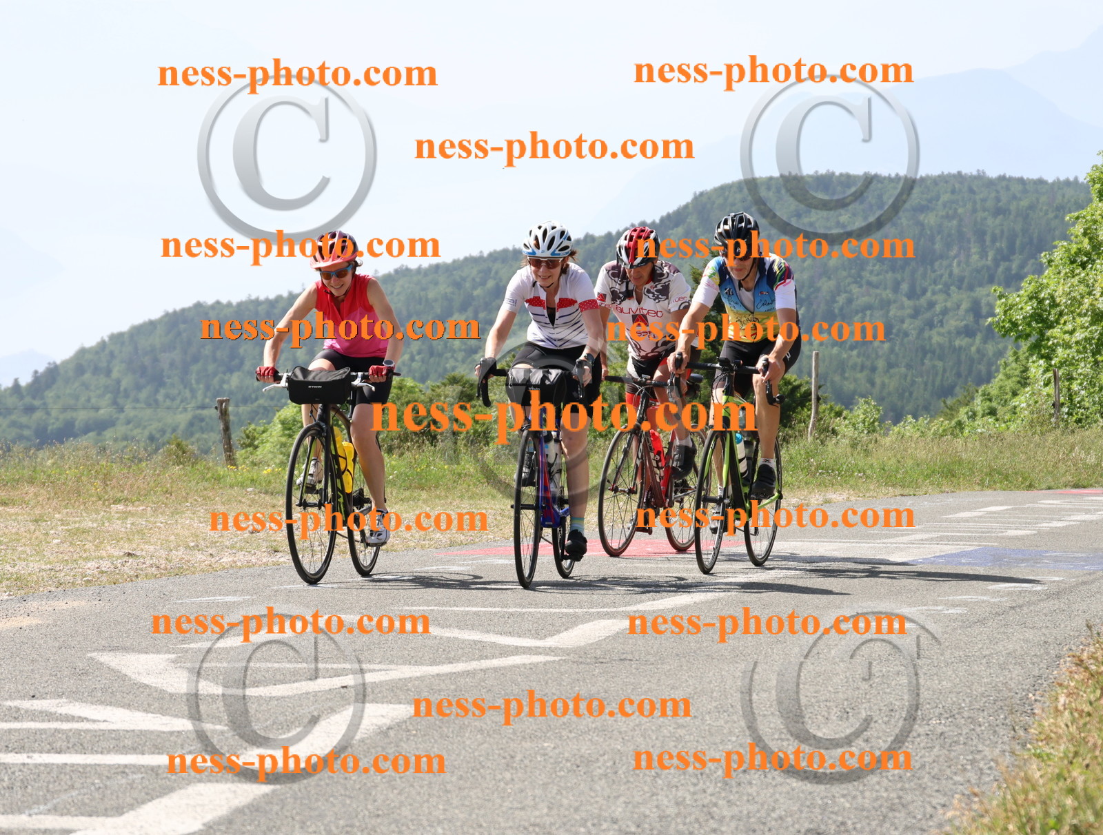 Col du grand Colombier (1010).JPG