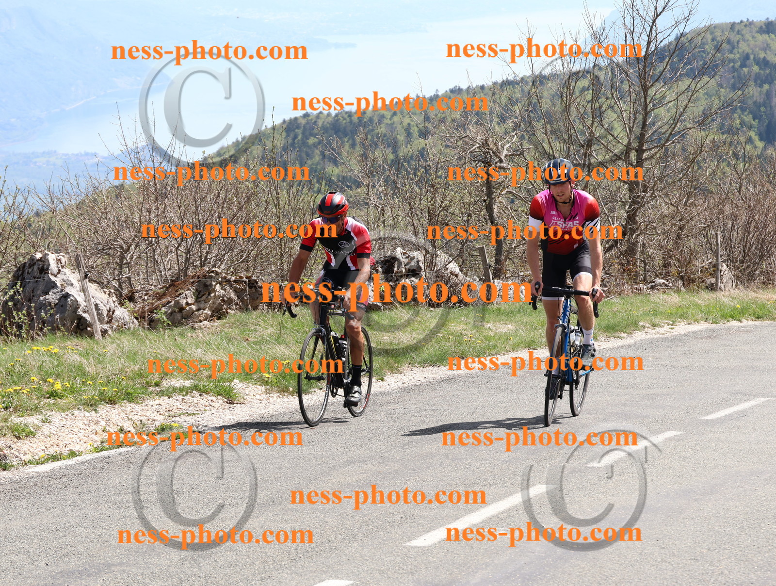 Col du Grand Colombier (898).JPG