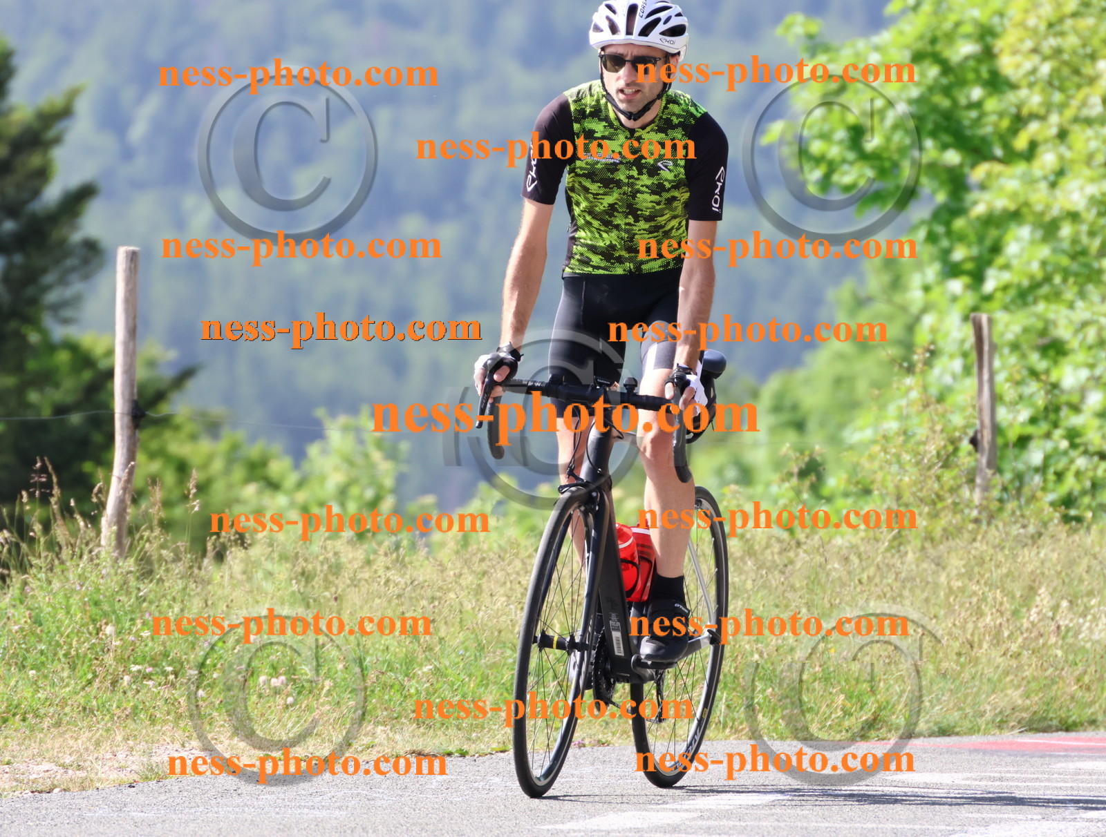 Col du grand Colombier (452).JPG