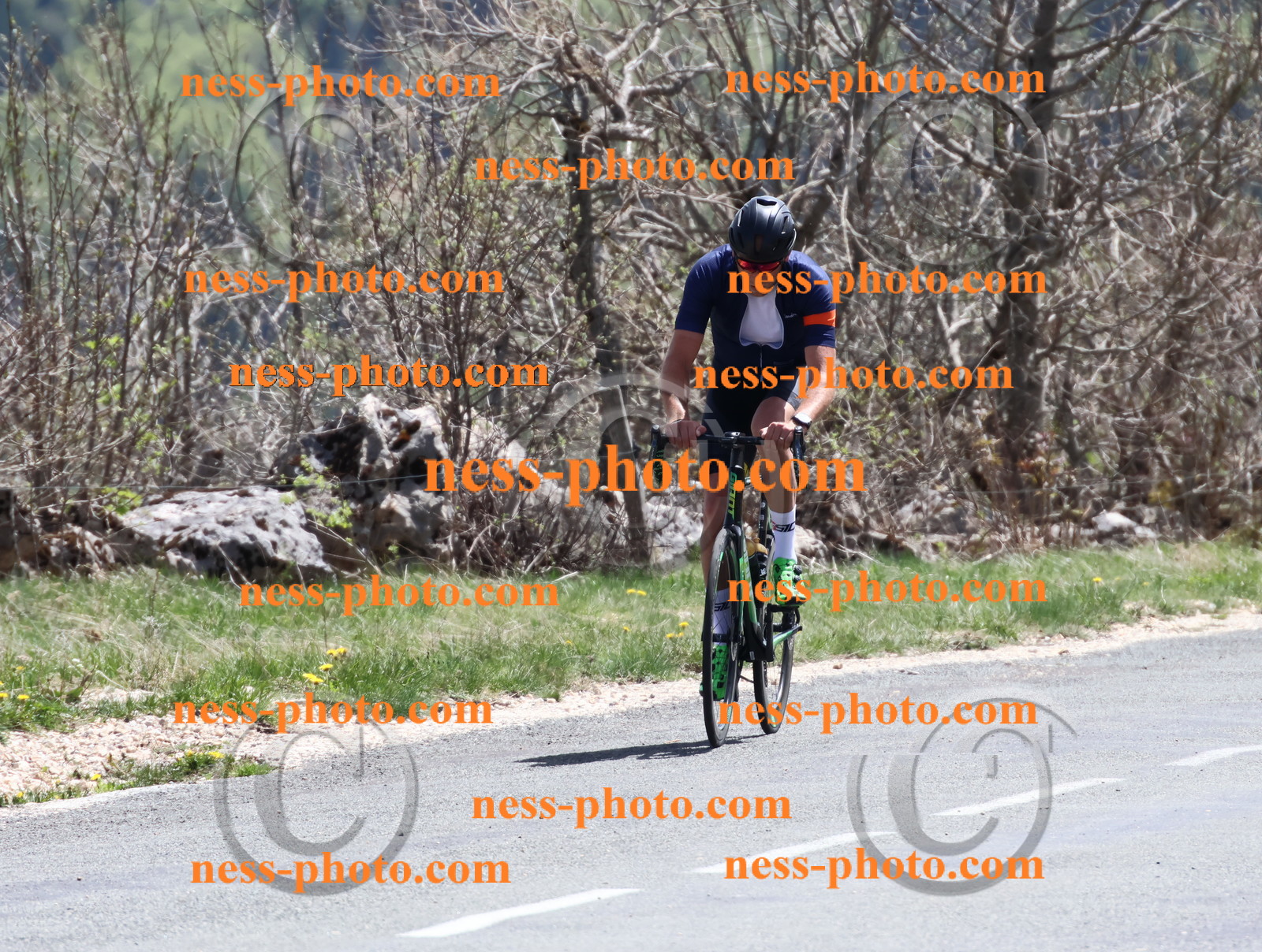 Col du Grand Colombier (808).JPG