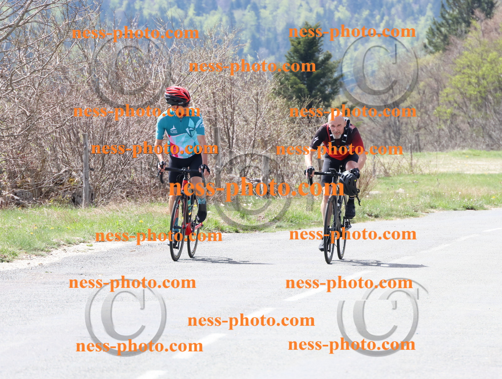 Col du Grand Colombier (19).JPG