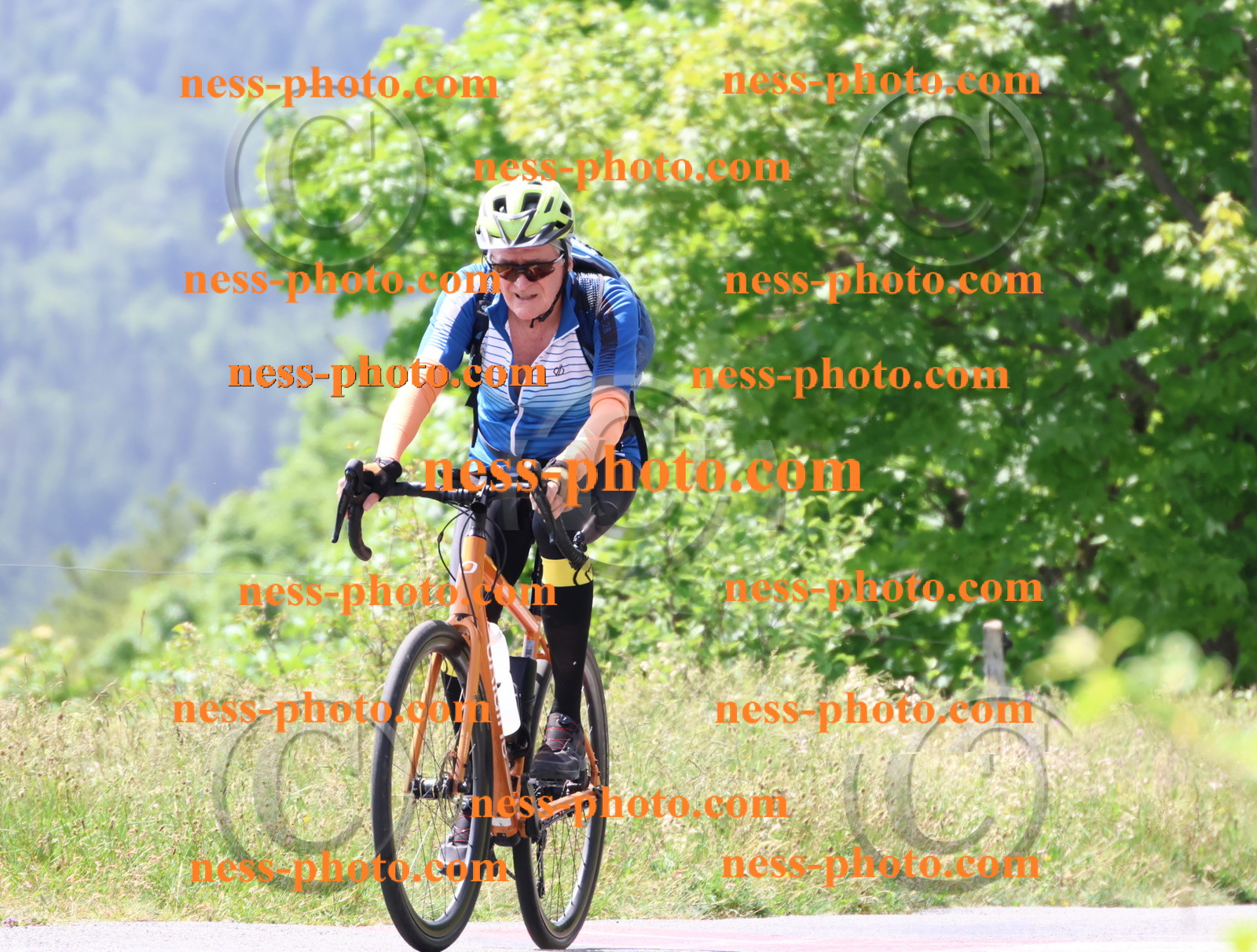 Col du grand Colombier (1696).JPG