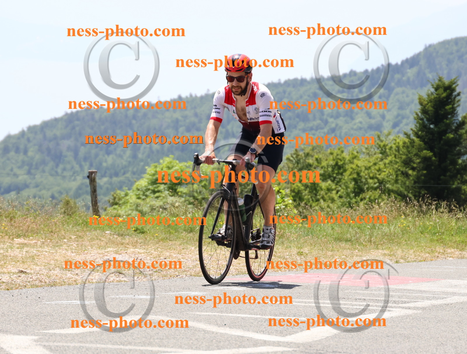 Col du grand Colombier (2746).JPG