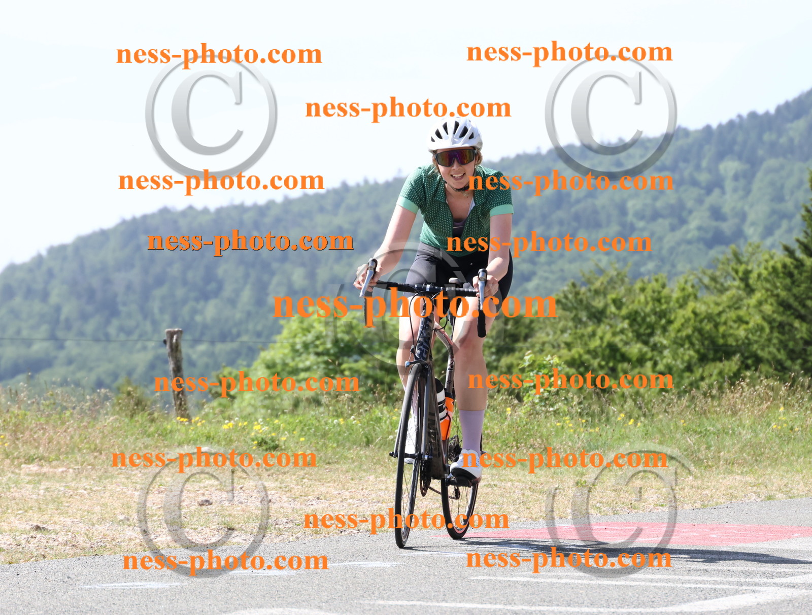 Col du grand Colombier (818).JPG