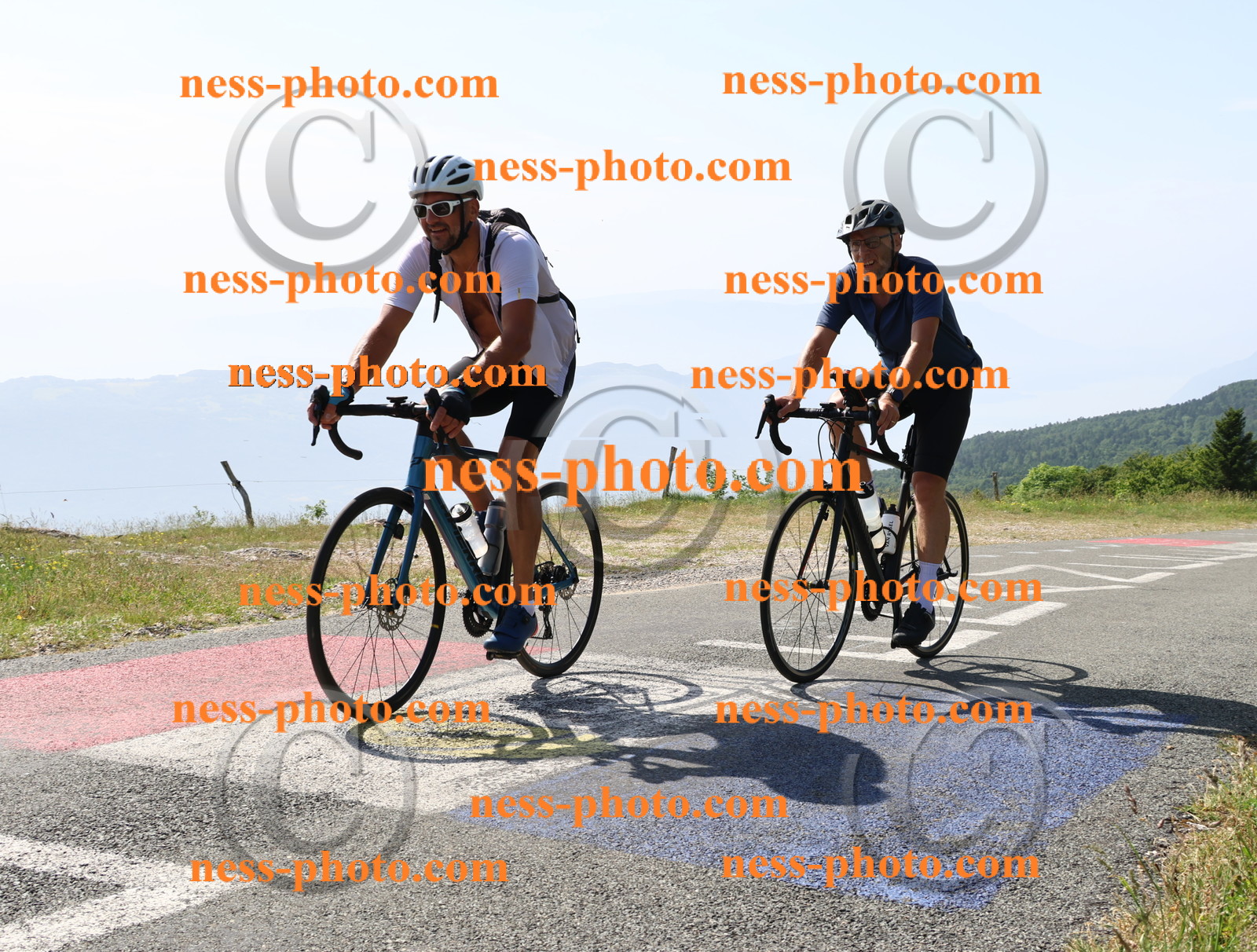 Col du grand Colombier (740).JPG