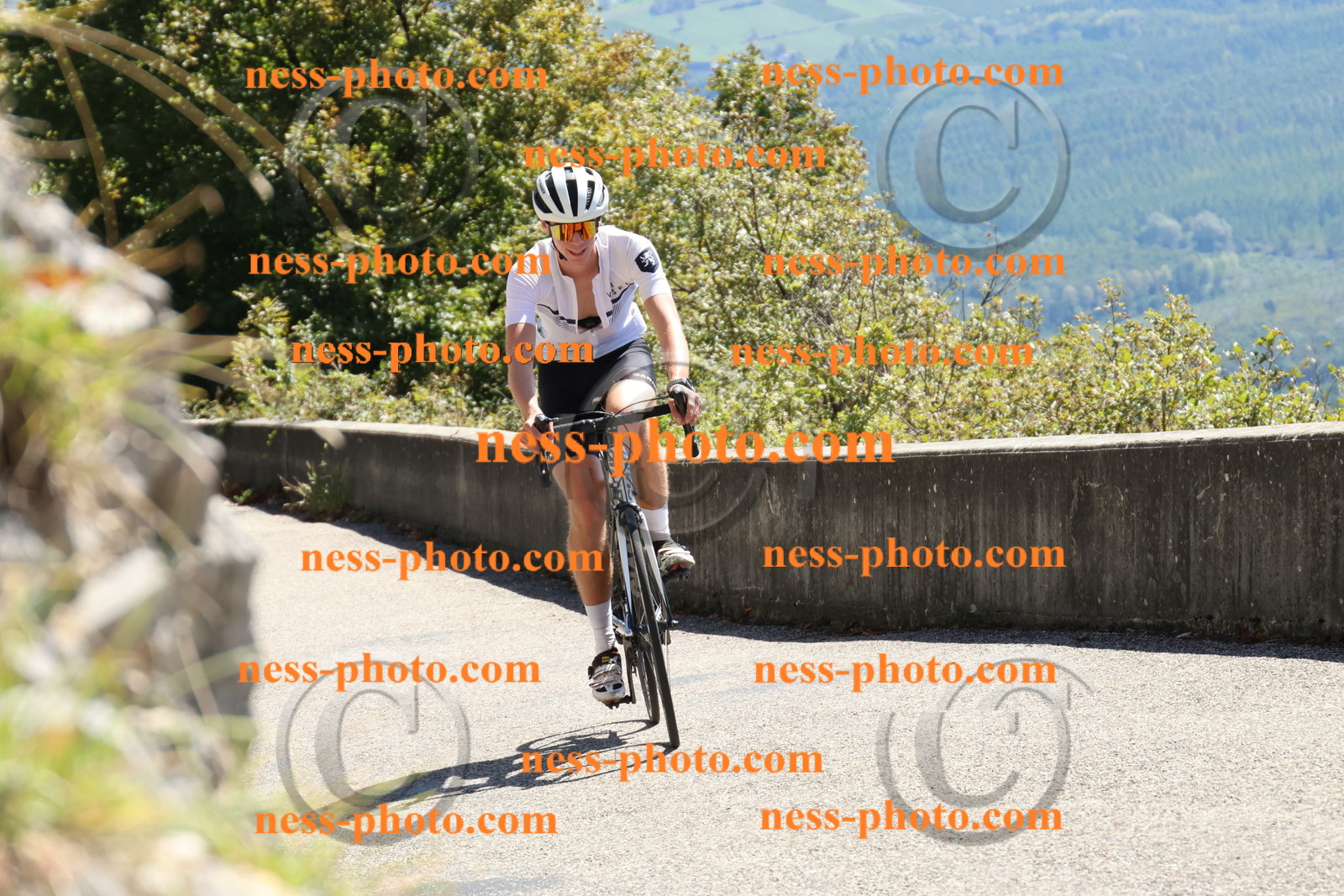 Col du Grand Colombier (556).JPG