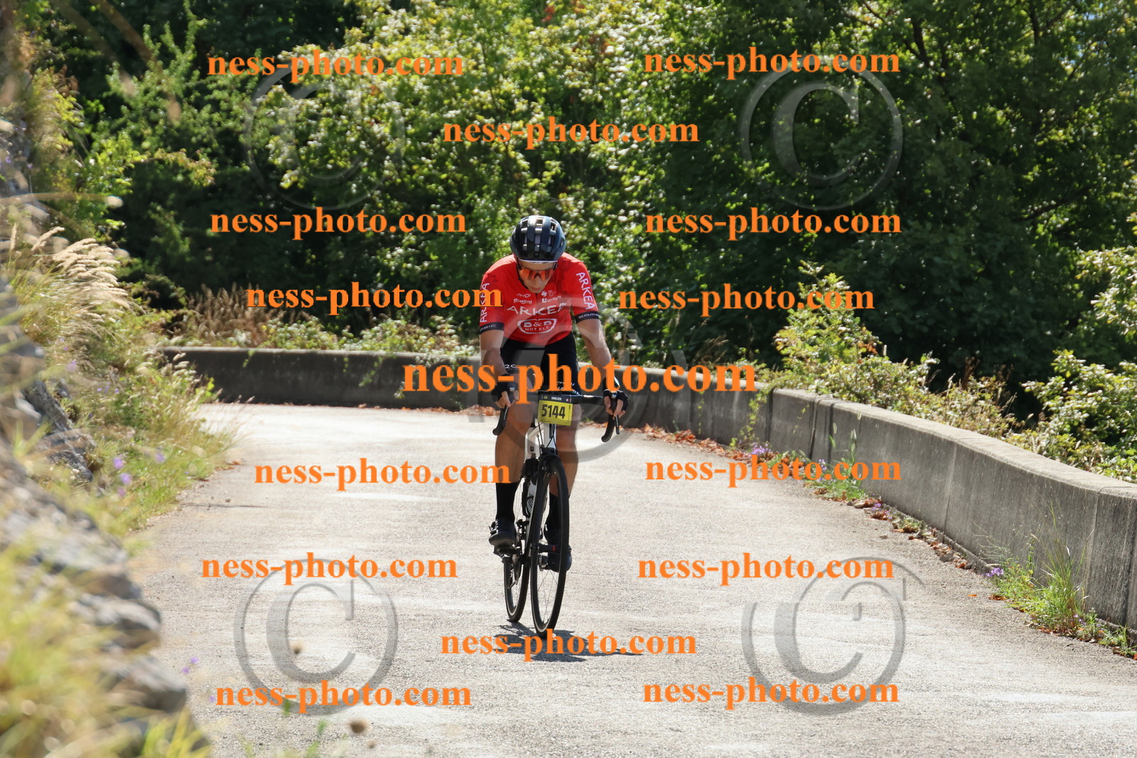 Col du Grand Colombier (65).JPG